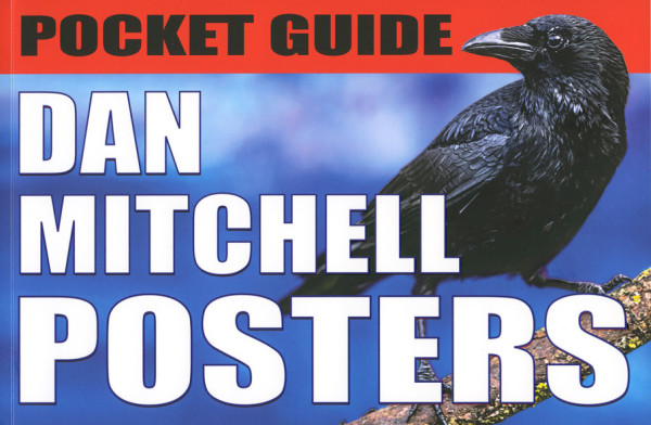 Pocket Guide: Dan Mitchell Posters